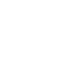 ce logo Allen